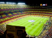 开云FIFA-世界杯生死战，丹麦铁腰托纳利一战封神，喀麦隆黑豹梦碎绿茵